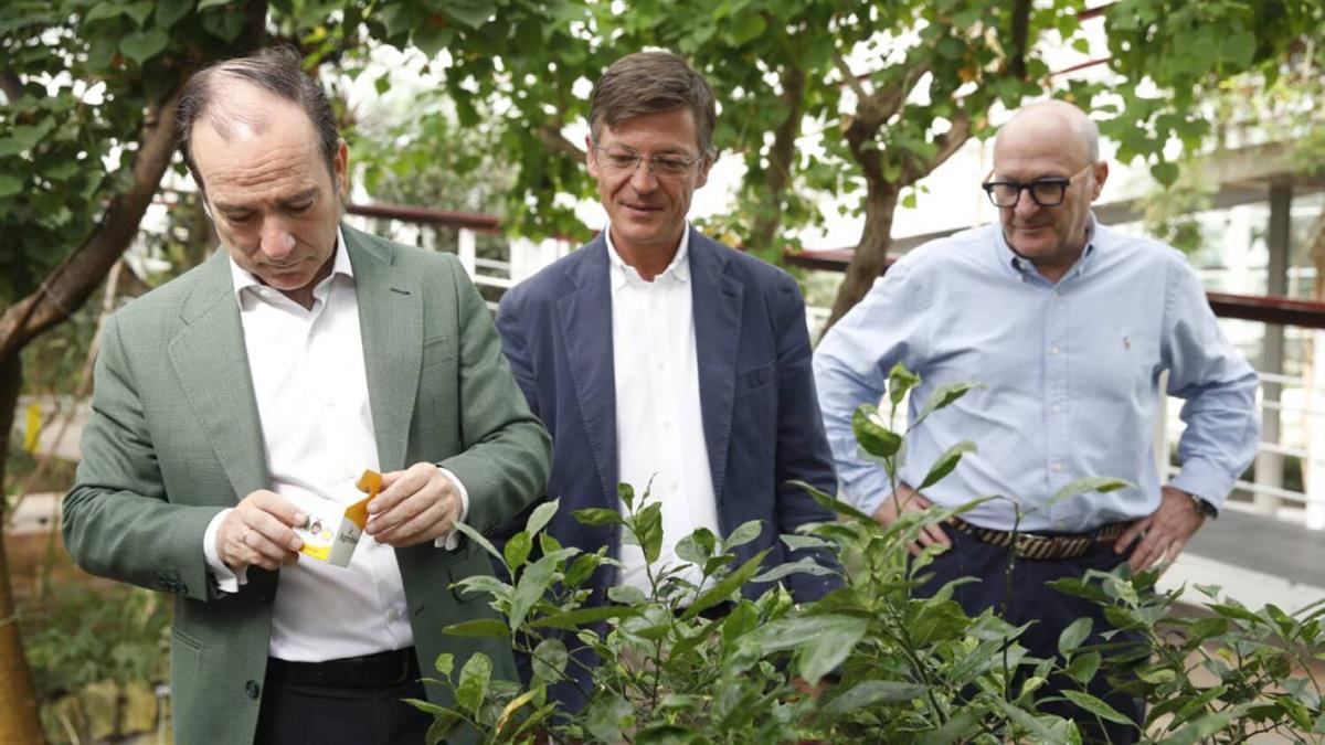 El Ayuntamiento se arma contra las plagas